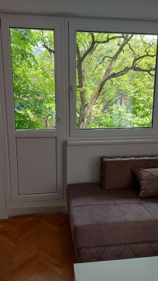 Apartman Milica Vrsac Exterior photo